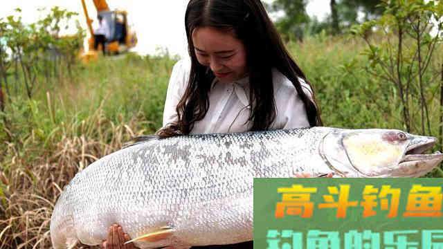 春季野钓大板鲫,远离这六大误区 春季野钓大板鲫,远离这六大误区