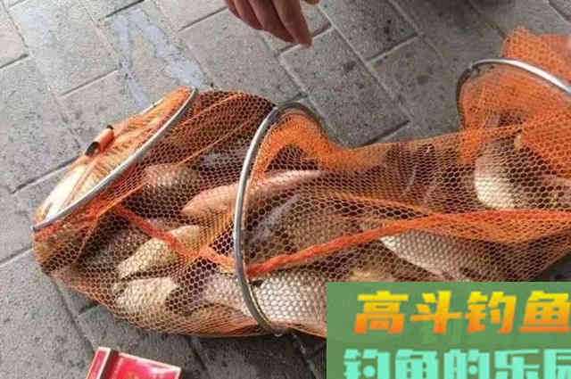 天热，大板鲫越来越难钓？熟记三句口诀，上鱼不要太快