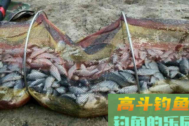 早春想狂拉大板鲫？果断试用这3招，比冬天更好钓