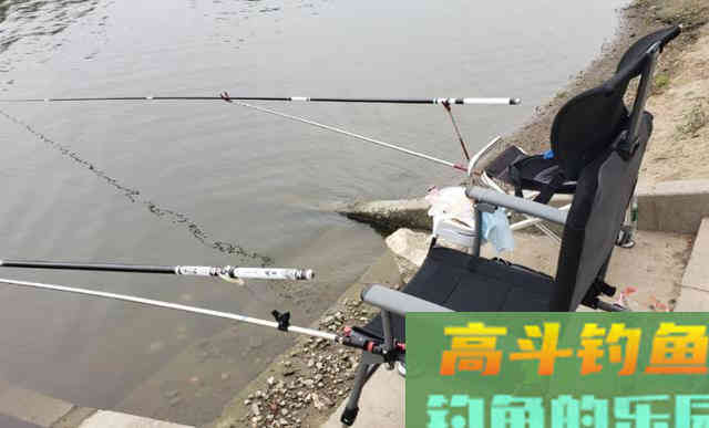 仲春不是只有鲫鱼,掌握方法也能钓到鲤鱼 仲春不是只有鲫鱼,掌握方法也能钓到鲤鱼