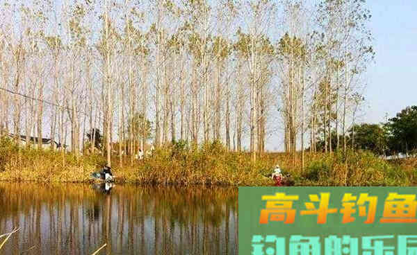 深秋初冬钓鲫鱼,选择这些天气出钓,鱼获差不了 深秋初冬钓鲫鱼,选择这些天气出钓,鱼获差不了