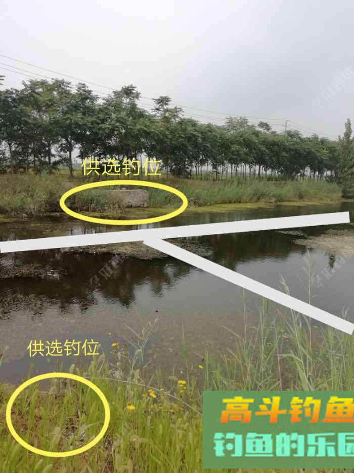 野钓策(20)小微水体野钓鲫鱼选位比对 野钓策(20)小微水体野钓鲫鱼选位比对