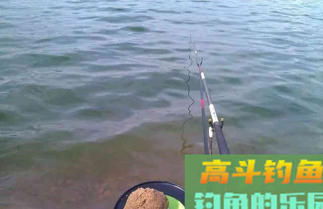 只要水面不结冰，冬天的鲤鱼，多半藏在这些位置