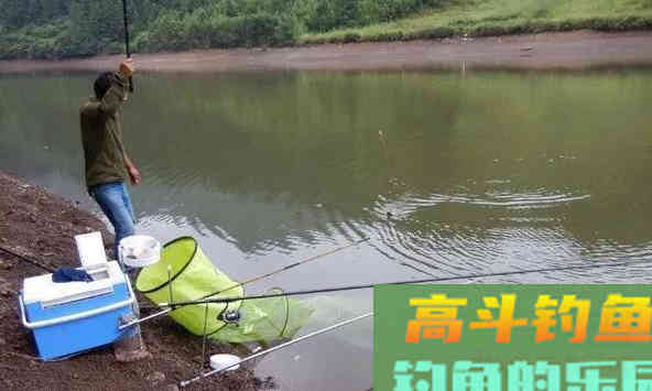 钓到这六种鱼,吃货也不要,只能就地处理 钓到这六种鱼,吃货也不要,只能就地处理