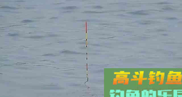 冬钓大鲫鱼,调钓宜灵还是宜钝,这取决于用什么样的饵料 冬钓大鲫鱼,调钓宜灵还是宜钝,这取决于用什么样的饵料