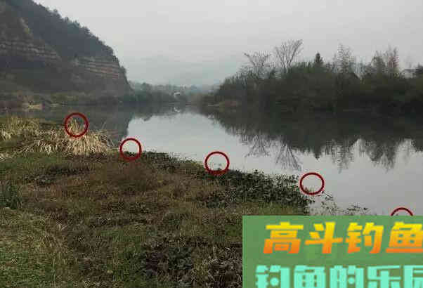 长竿短线钓鲫鱼,这3个重点要抓住 长竿短线钓鲫鱼,这3个重点要抓住