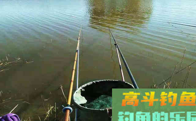 钓鲢鳙远离这3大误区，钓好鱼很简单