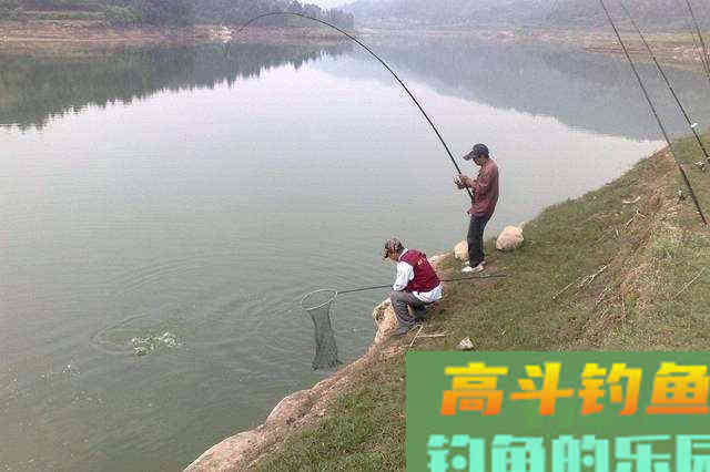 野钓鲫鱼频繁脱钩，和带不带倒刺无关，是几种原因