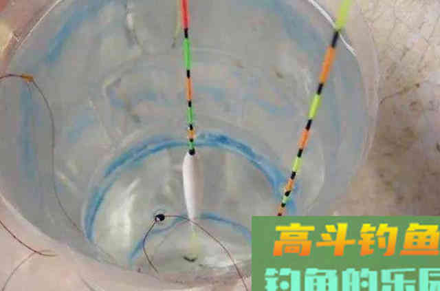 大鲫鱼可遇不可求?老钓手调整策略,上鱼快到没话说 大鲫鱼可遇不可求?老钓手调整策略,上鱼快到没话说