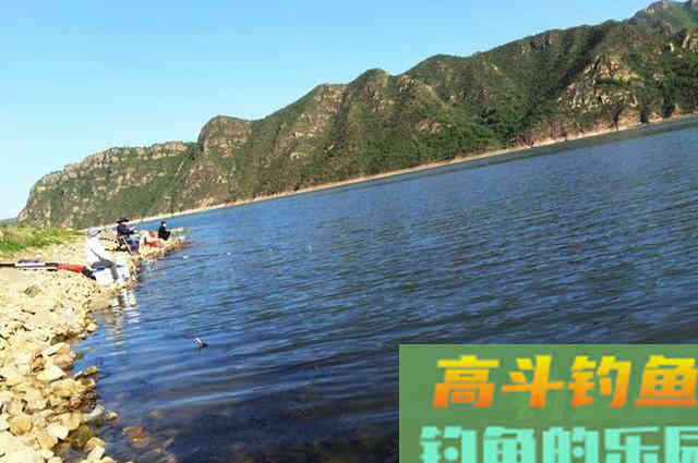 钓不好鲢鳙鱼,那就看看这些垂钓心得 钓不好鲢鳙鱼,那就看看这些垂钓心得