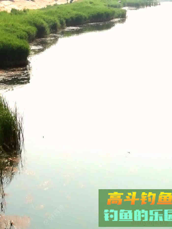 鲫鱼难钓的关键点和关联点,盛夏钓鲫浅探 鲫鱼难钓的关键点和关联点,盛夏钓鲫浅探