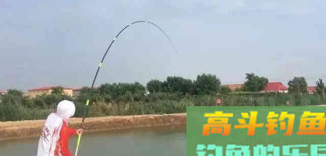 撑握用子线长度、钩距与调钓的关系,是钓获青鱼的关键 撑握用子线长度、钩距与调钓的关系,是钓获青鱼的关键