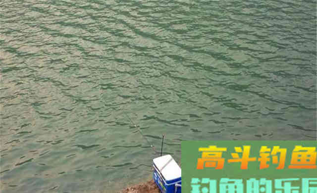晚秋正出大鲤鱼,常用这四大杀招 晚秋正出大鲤鱼,常用这四大杀招