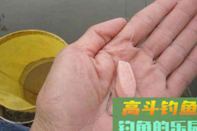 从3个方面掌握手竿钓鲢鳙的技巧，以后越钓越多
