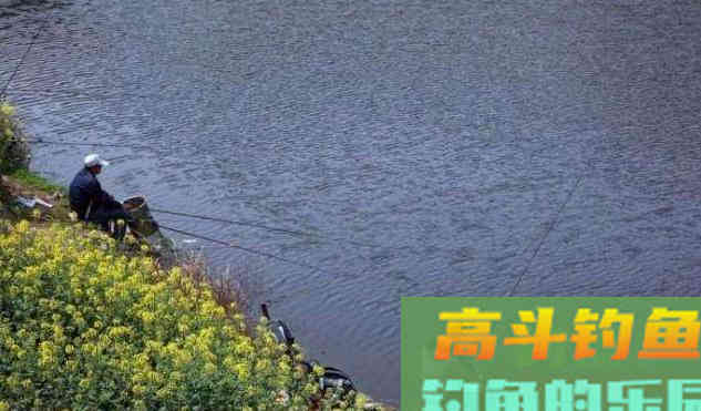 最适合早春钓鱼的3种天气，随便找个钓位鲫鱼连竿上