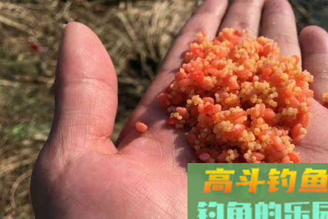 三十年老钓手:冬天不用这狠招就亏大了 三十年老钓手:冬天不用这狠招就亏大了