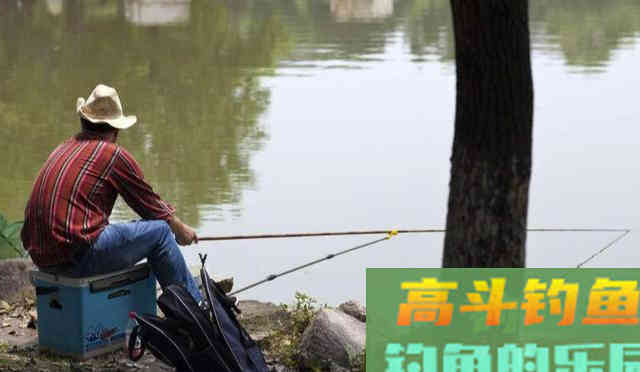 春末夏初，在河流如何钓白鲦