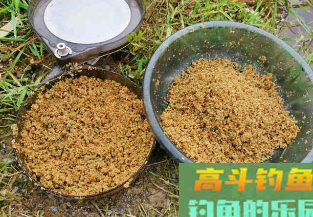 大水面低密度的黑坑如何钓鲤鱼？老钓友给你支2招