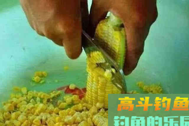 伏天热，鲤鱼难钓到怀疑人生？谁料我用这几招