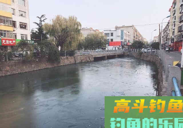 你与鲤鱼之间的距离，只差一个钓位，选错是喂鱼选对才是钓鱼