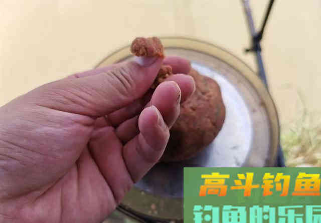 用螺鲤钓不到鲤鱼?可能是用法不对 用螺鲤钓不到鲤鱼?可能是用法不对
