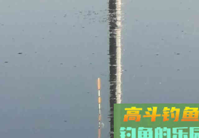 都知道钓鲫鱼要找水草,但很多人忽略了第二步 都知道钓鲫鱼要找水草,但很多人忽略了第二步
