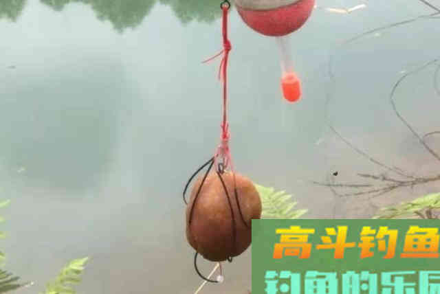 鲤鱼再狡猾,遇到这钓法也得快速上岸 鲤鱼再狡猾,遇到这钓法也得快速上岸