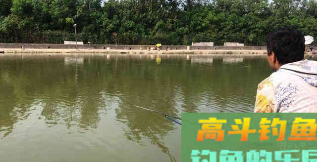 仲春鲤鱼如何钓？因地制宜分析鱼情从水深钓法入手