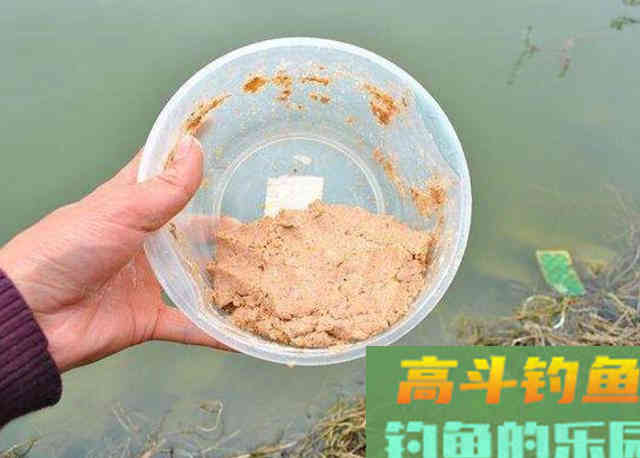 冬钓鲫鱼的过程中，需要钓友时刻牢记的3个钓法技巧