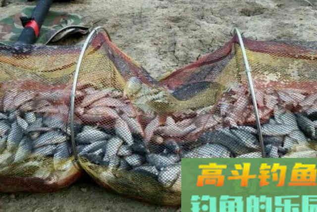 冬天的鲫鱼不好钓?果断换用这3大招式 冬天的鲫鱼不好钓?果断换用这3大招式