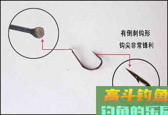 手竿钓鲢鳙：为何伊豆完胜伊势尼
