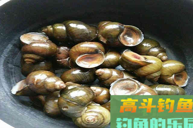 多年垂钓经验,总结而来的钓青鱼心得 多年垂钓经验,总结而来的钓青鱼心得