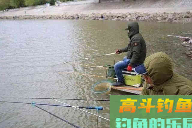 冬钓不用这3招就亏大了!上钩的板鲫又肥又大 冬钓不用这3招就亏大了!上钩的板鲫又肥又大