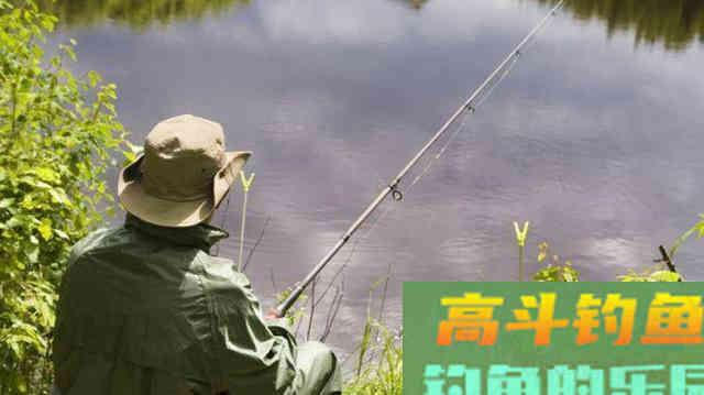 初夏钓鲫鱼，选择草窝处