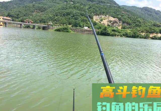 从钓位选择到装备搭配,手把手教你野钓翘嘴鱼 从钓位选择到装备搭配,手把手教你野钓翘嘴鱼