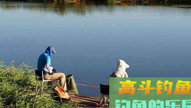 夏季鲫鱼为什么很难钓？是因为你不了这几点