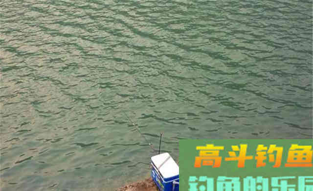 秋季手竿钓鲤鱼,流传下来五大秘诀 秋季手竿钓鲤鱼,流传下来五大秘诀