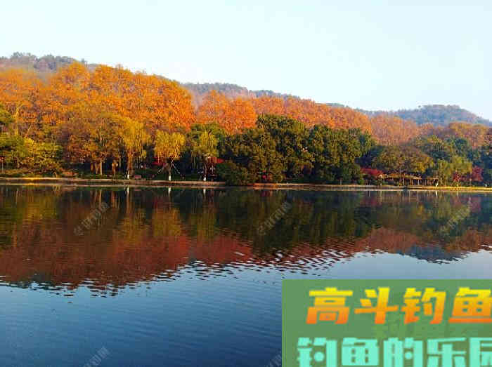 冬钓鲫鱼气温、温差与风力的影响,和鲫鱼的种种表现 冬钓鲫鱼气温、温差与风力的影响,和鲫鱼的种种表现
