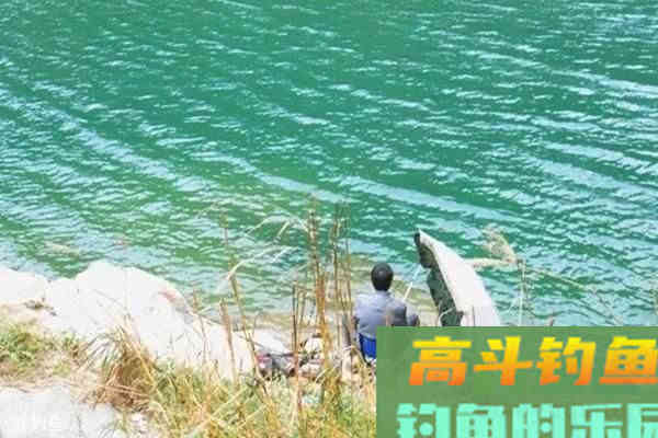 为何钓鲤上鱼多在早晚,午间却很难有中鱼的机会 为何钓鲤上鱼多在早晚,午间却很难有中鱼的机会