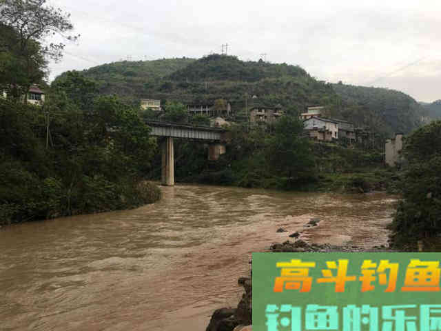 浑水钓黄颡的方法，特有效