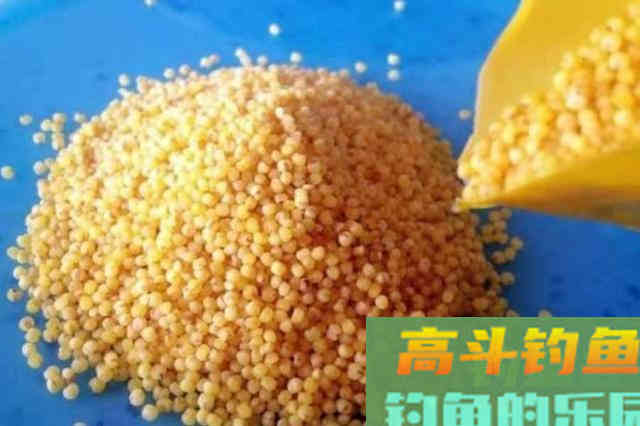 初秋钓鳊鱼,换用这锦囊妙计,钓了一尾又一尾 初秋钓鳊鱼,换用这锦囊妙计,钓了一尾又一尾