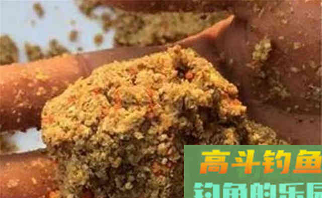 秋末冬初钓鲫鱼,下竿之前,一定少了这个步骤 秋末冬初钓鲫鱼,下竿之前,一定少了这个步骤