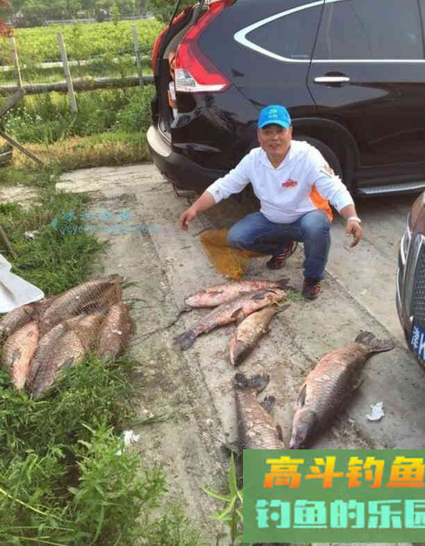 钓青鱼有什么技巧？高手给你说道说道