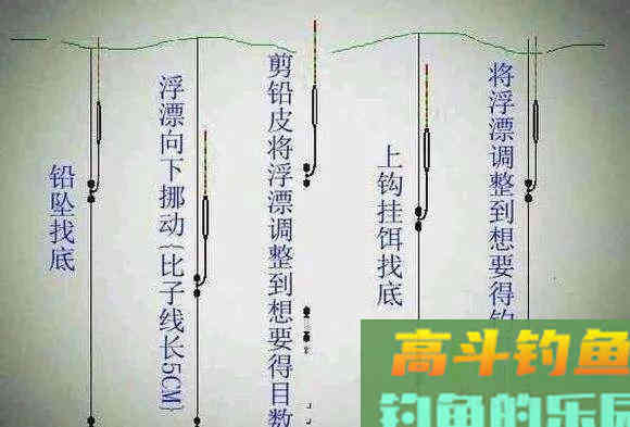 根据青鱼新鱼特点,分析鱼情合理选择正确钓法 根据青鱼新鱼特点,分析鱼情合理选择正确钓法