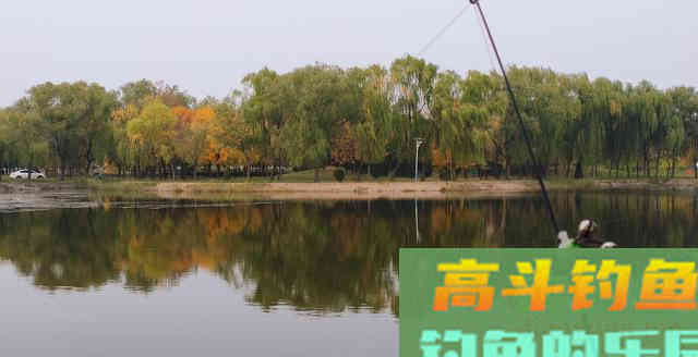 选择好钓具饵料及钓法,冬季大鲫鱼连竿上岸 选择好钓具饵料及钓法,冬季大鲫鱼连竿上岸