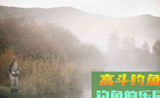 冬季钓鲫鱼,为什么鱼情差?有5个常识性的错误 冬季钓鲫鱼,为什么鱼情差?有5个常识性的错误