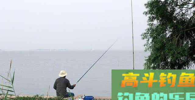 升温后,钓友们学会这样钓鲫鱼吧 升温后,钓友们学会这样钓鲫鱼吧