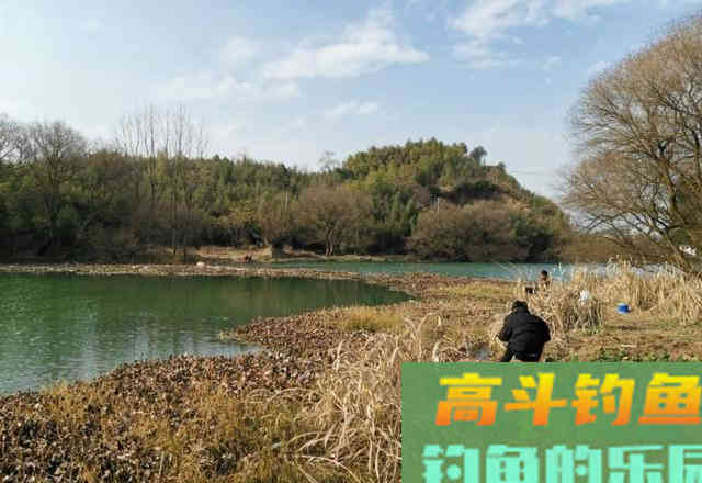 钓到大鲫鱼并非偶然，多天实战，解释野钓的正确思路