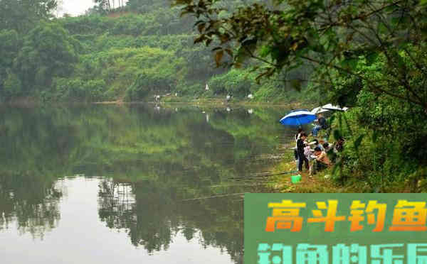 夏季黄尾鲴的垂钓技巧