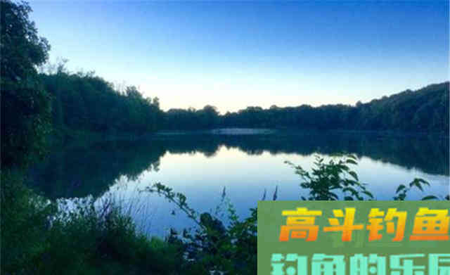 秋季手竿钓鲤鱼,流传下来五大秘诀 秋季手竿钓鲤鱼,流传下来五大秘诀